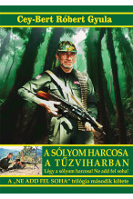 Cey-Bert Róbert Gyula: A sólyom harcosa a tűzviharban