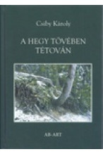Csiby Károly: A hegy tövében tétóván