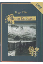 Boga Júlia: Ellopott Karácsony