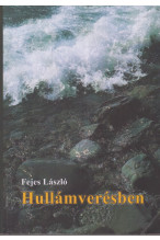 Fejes László: Hullámverésben