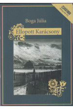 Boga Júlia: Ellopott Karácsony