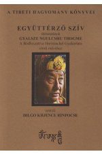 Együttérző szív. Útmutatások Gyalsze Ngulcshu Thogme A Bódhiszattva Harminckét gyakorlata című művéhez 